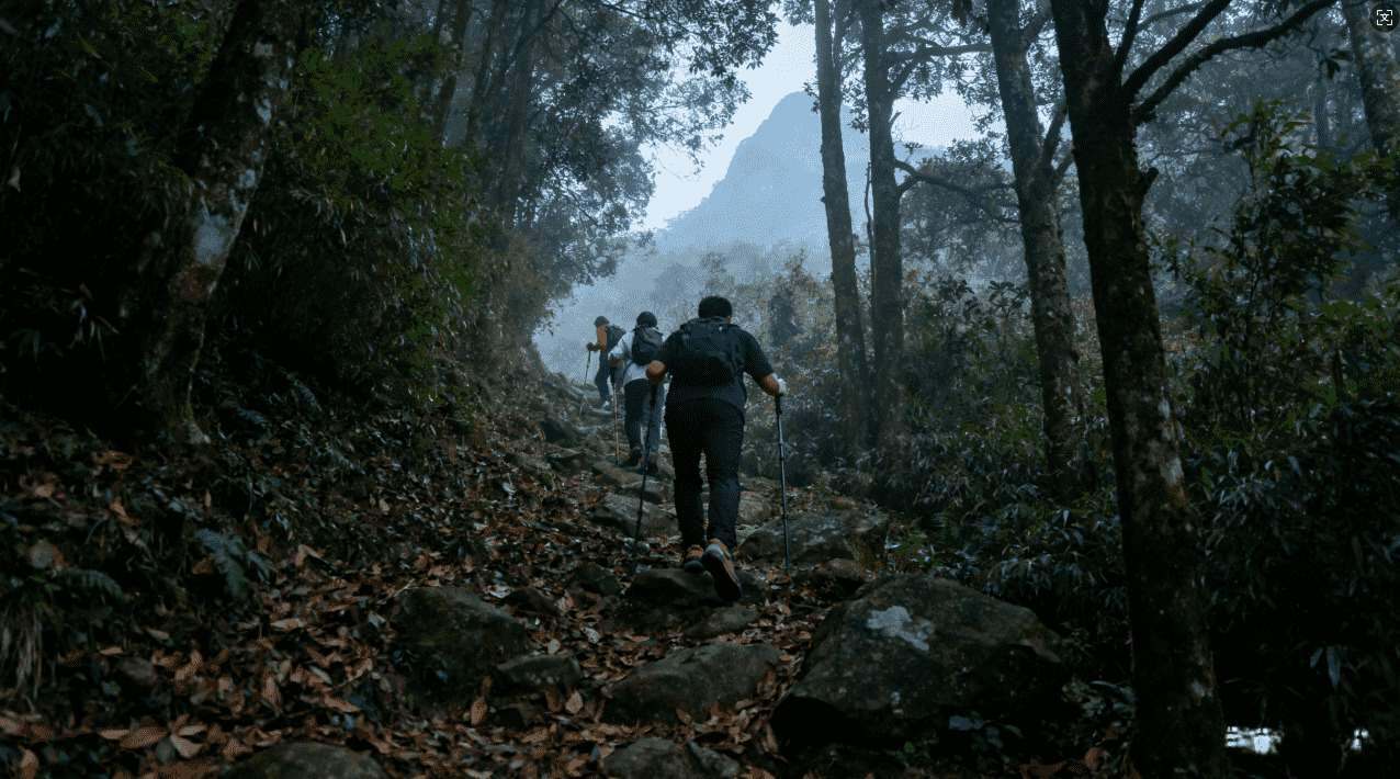 怎样选择稳定的挂梯子和加速器推荐指南